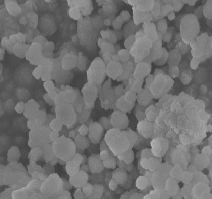 Beta Zeolite Catalyst Zeolite Specific Surface Catalyst Catalyst